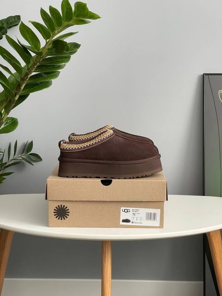 Жіночі зимові черевики UGG Tazz II коричневі Las-1422 фото