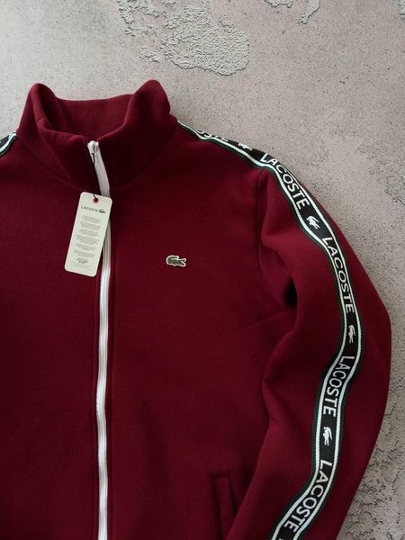 Мужской зимний спортивный костюм Lacoste без капюшона бодовый Набор Лакост Кофта Брюки с лампасами Хар-686 фото