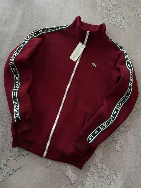 Мужской зимний спортивный костюм Lacoste без капюшона бодовый Набор Лакост Кофта Брюки с лампасами Хар-686 фото