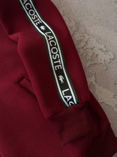 Мужской зимний спортивный костюм Lacoste без капюшона бодовый Набор Лакост Кофта Брюки с лампасами Хар-686 фото