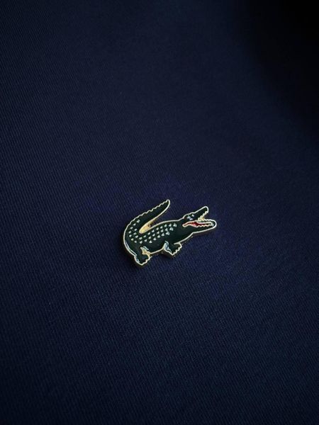 Чоловічий спортивний костюм Lacoste синій Хар-1020 фото