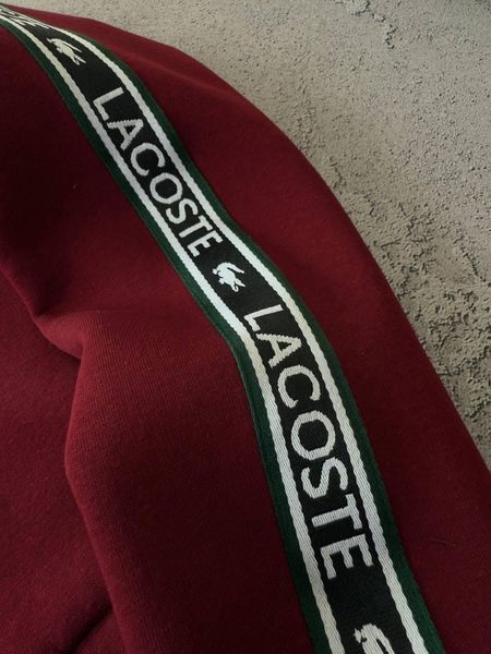 Мужской зимний спортивный костюм Lacoste без капюшона бодовый Набор Лакост Кофта Брюки с лампасами Хар-686 фото
