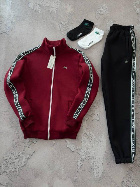 Мужской зимний спортивный костюм Lacoste без капюшона бодовый Набор Лакост Кофта Брюки с лампасами Хар-686 фото