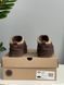 Жіночі зимові черевики UGG Tazz II коричневі Las-1422 фото 5