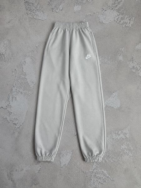 Чоловічі спортивні штани Nike сірі Хар-1046 фото
