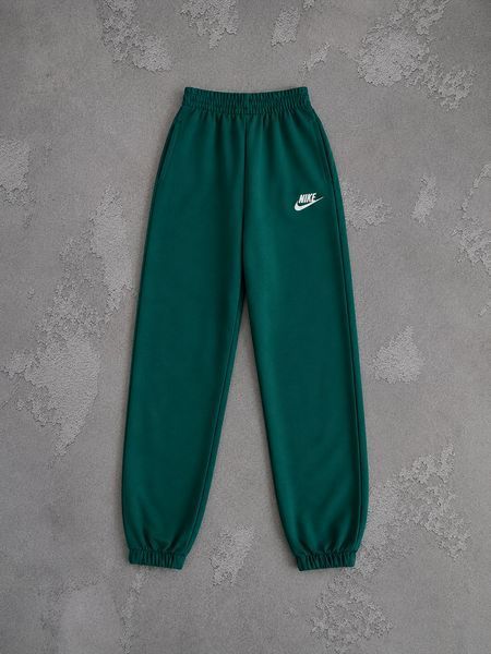 Чоловічі спортивні штани Nike сірі Хар-1046 фото