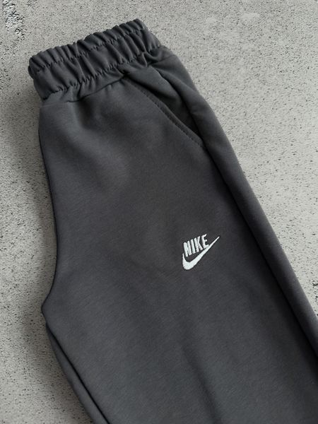 Чоловічі спортивні штани Nike сірі Хар-1046 фото