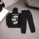 Чоловічий зимовий спортивний костюм Carhartt чорний Комплект Кархарт Худі Штани плащівка Ads-549 фото 1
