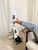 Женские кроссовки Adidas Superstar White Адидас суперстар белые классические Arm-SPST01 фото