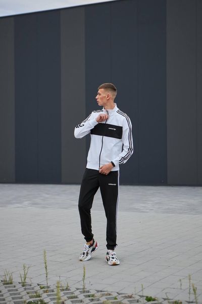 Чоловічий спортивний костюм Adidas без капюшона білий Комплект Адідас Кофта на блискавці Штани Хар-239 фото