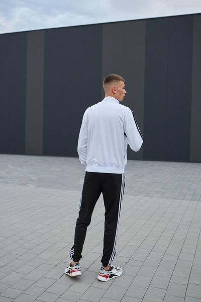 Чоловічий спортивний костюм Adidas без капюшона білий Комплект Адідас Кофта на блискавці Штани Хар-239 фото
