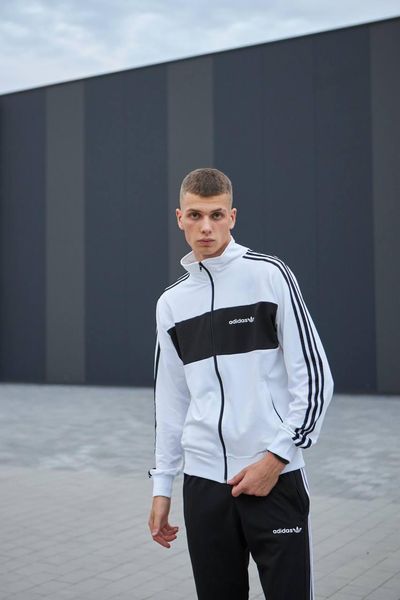 Чоловічий спортивний костюм Adidas без капюшона білий Комплект Адідас Кофта на блискавці Штани Хар-239 фото