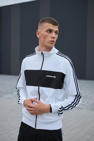 Чоловічий спортивний костюм Adidas без капюшона білий Комплект Адідас Кофта на блискавці Штани Хар-239 фото