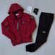 Чоловічий зимовий спортивний костюм Stone Island білий Комплект Стон Айленд з капюшоном Хар-290 фото 3