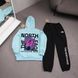 Мужской зимний спортивный костюм The North Face черный Комплект ТНФ Худи Штаны плащевка Ads-565 фото 5