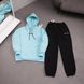 Чоловічий зимовий спортивний костюм Carhartt блакитний Комплект Кархарт Худі Штани плащівка Ads-550 фото 2