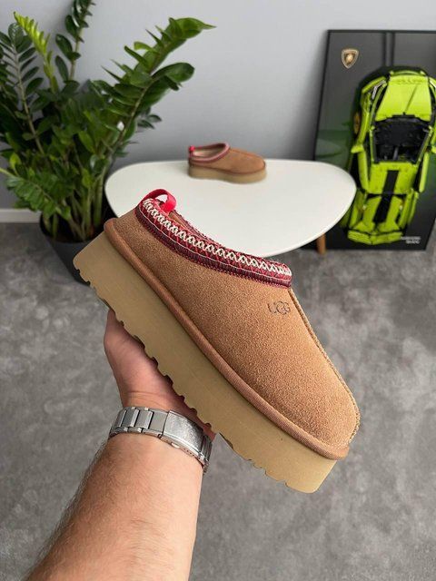 Женские зимние ботинки UGG Tazz II бежевые Las-1410 фото
