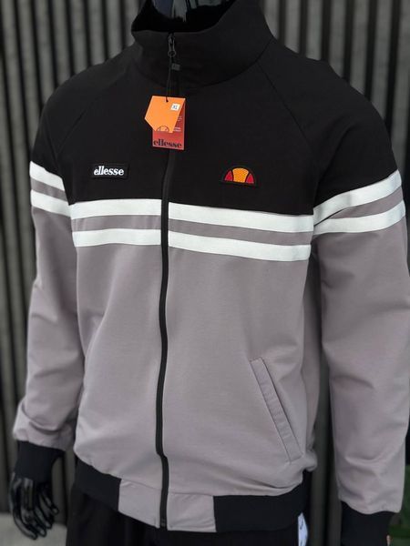 Чоловіча кофта Ellesse без капюшона сіра Олімпійка Еліс на блискавці Хар-632 фото