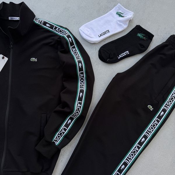 Чоловічий спортивний костюм Lacoste без капюшона білий Набір Лакост Кофта Штани з лампасами Хар-656 фото
