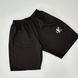 Мужские спортивные шорты Calvin Klein черные Кельвин Кляйн Will-C0007 фото 1