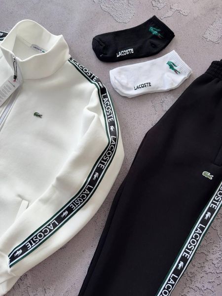 Мужской зимний спортивный костюм Lacoste без капюшона белый Набор Лакост Кофта Брюки с лампасами Хар-688 фото