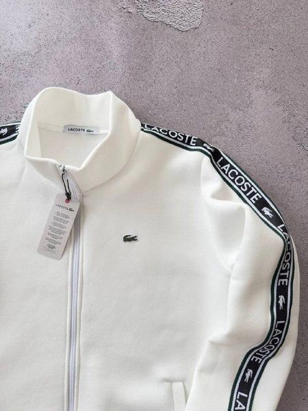 Мужской зимний спортивный костюм Lacoste без капюшона белый Набор Лакост Кофта Брюки с лампасами Хар-688 фото