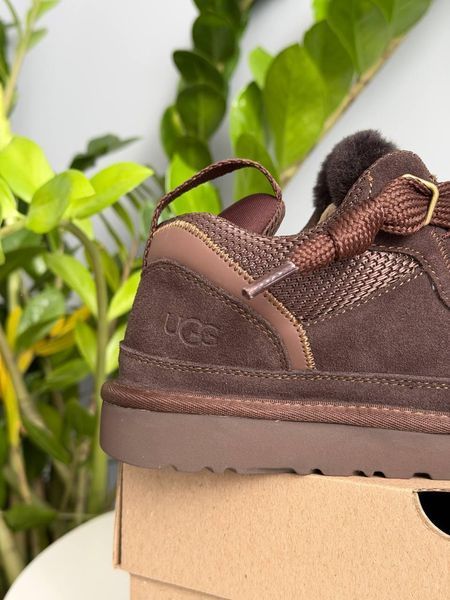 Жіночі зимові кросівки UGG Lowmel Sneaker коричневі Las-2072 фото