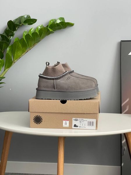 Жіночі зимові черевики Ugg Tazz Sock сірі Las-1832 фото