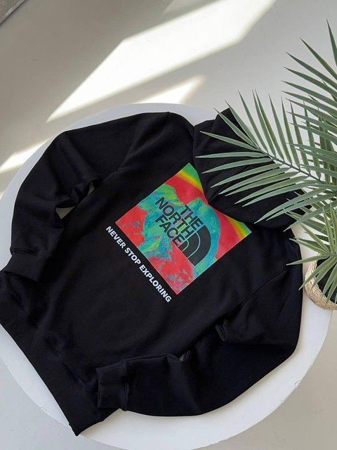 Мужское зимнее худи The North Face на микрофлисе черное Кофта ТНФ с капюшоном Гла-130 фото