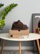 Жіночі зимові кросівки UGG Lowmel Sneaker коричневі Las-2072 фото 5